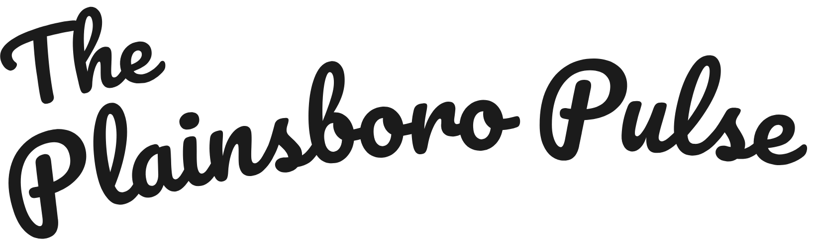 The Plainsboro Pulse